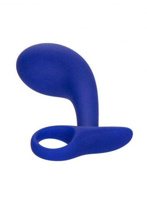 Admiral Anal Training Set Blue Calexotics