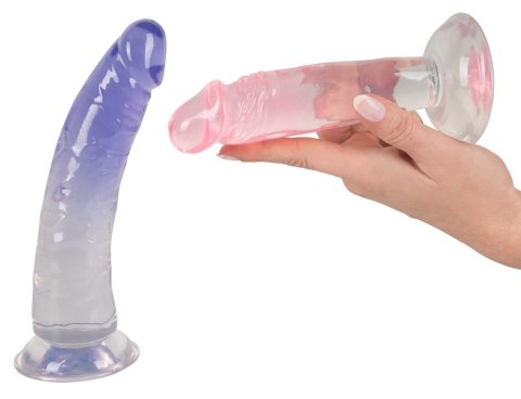 Strap-On Kit for playgirls 2Di You2Toys