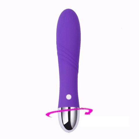 Wibrator - Gigolo USB purple Power Escorts