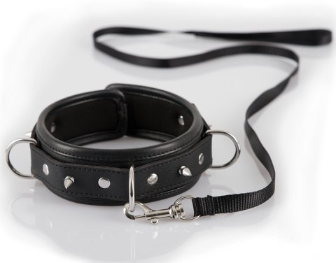 Collar Leash Bad Kitty