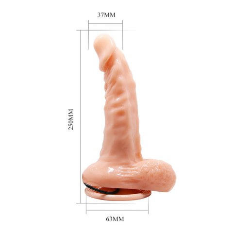 BAILE- REALISTIC MALE COCK AND TIGHT ASS, Vibration Suction base Baile