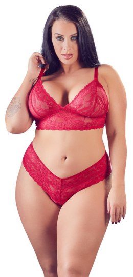 Bra and Red Briefs XL Cottelli CURVES