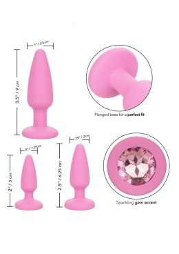 Crystal Booty Kit Pink CalExotics