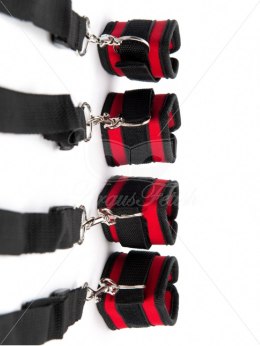 Black And Red Wrist And Ankle Bed ARGUS