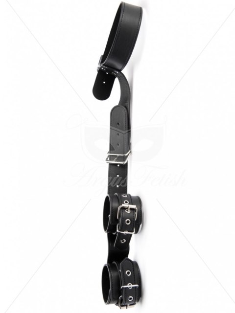 Bondage Collar and Wrist Cuffs Argus