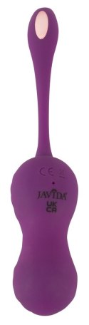 Javida RC Love ball with 2 fun JAVIDA