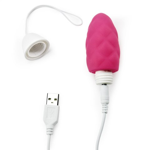 IJOY Wireless Remote Control Rechargeable Egg Pink Lovetoy