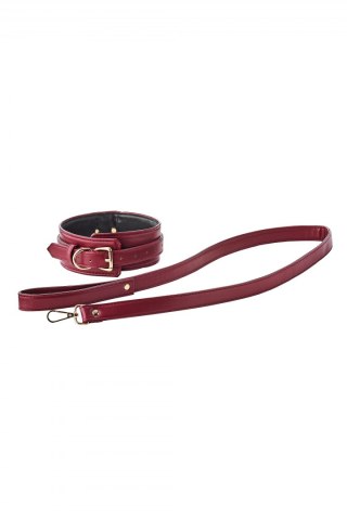 BLAZE ELITE COLLAR AND LEASH RED Dream Toys