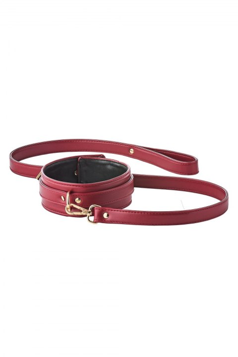 BLAZE ELITE COLLAR AND LEASH RED Dream Toys