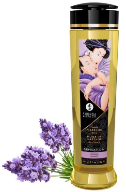 Wegański olejek do masażu - Massage Oil Sensation Lavender Shunga