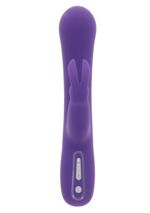 Exciting Rabbit Vibrator Purple ToyJoy