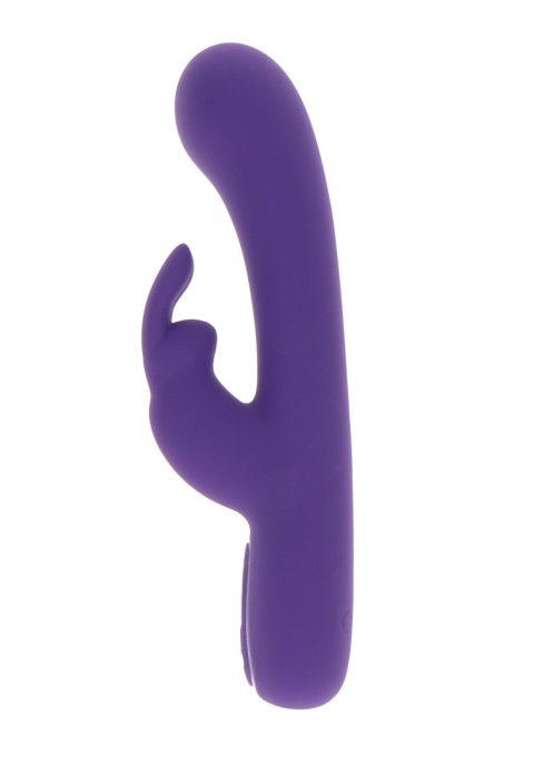 Exciting Rabbit Vibrator Purple ToyJoy