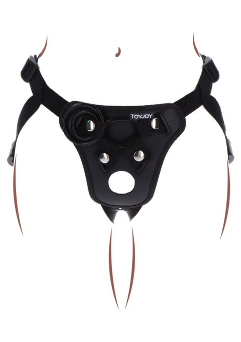 Strap-On Pleasure Harness Black ToyJoy