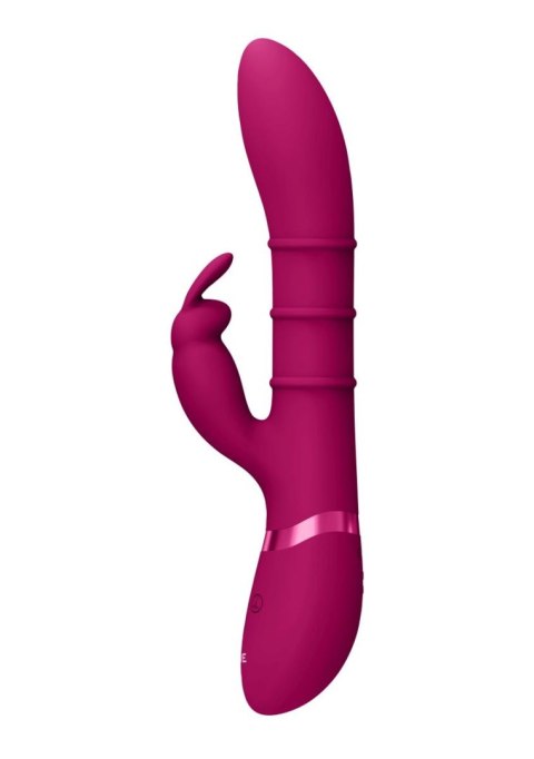 Luksusowy Wibrator - Stimulating Rings, Vibrating G-Spot Rabbit - Pink Vive