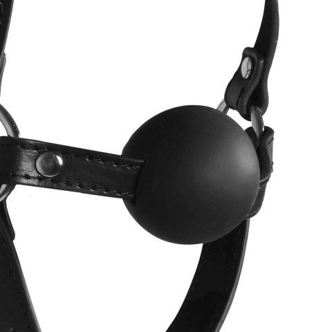 Uprząż na głowę z kneblem - Blindfolded Head Harness with Solid Ball Gag - Black Ouch!