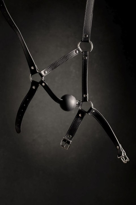 Uprząż na głowę z kneblem - Head Harness with Solid Ball Gag - Black Ouch!