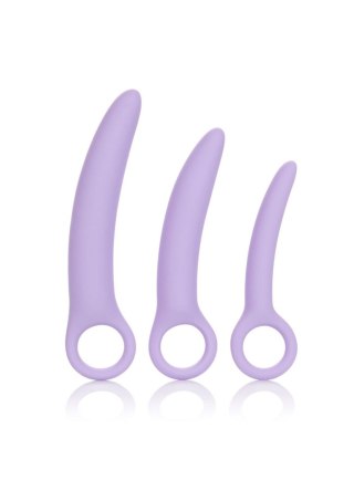 Alena Set of 3 Dilators Purple Calexotics