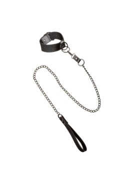 Collar With Chain Leash Black Calexotics