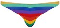 Menskie Stringi - Men's Thong Rainbow L Svenjoyment