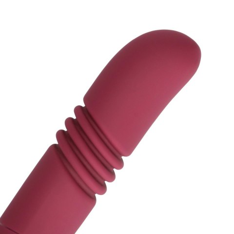 Double-Sided Thrusting Vibrator Loveline