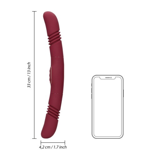 Double-Sided Thrusting Vibrator Loveline