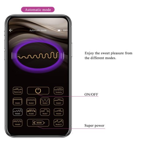 PRETTY LOVE - Ethan purple, 12 vibration functions Mobile APP Long-distance Control Pretty Love