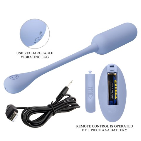 PRETTY LOVE - LECHIES Dream chaser 5, Blue, Wireless remote control 12 vibration functions Memory function Pretty Love