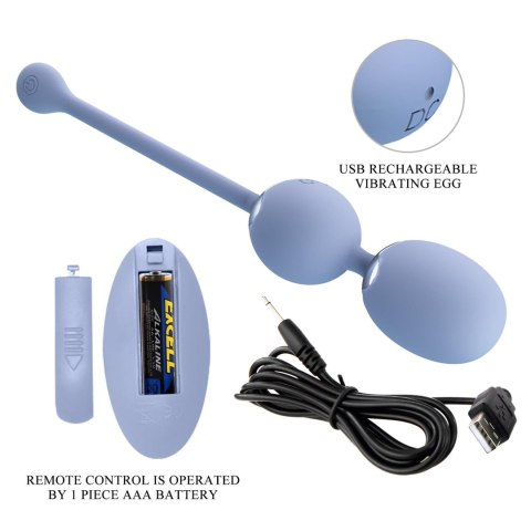 PRETTY LOVE - WILLIE Dream chaser 6, Blue, Wireless remote control 12 vibration functions Memory function Pretty Love