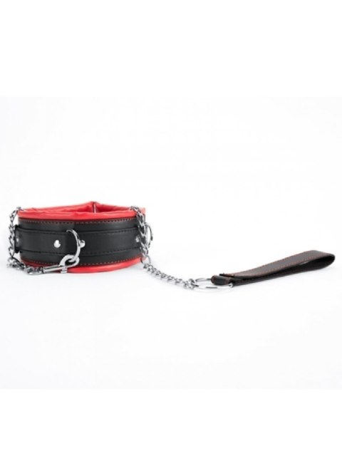 Red Collar And Leash Argus