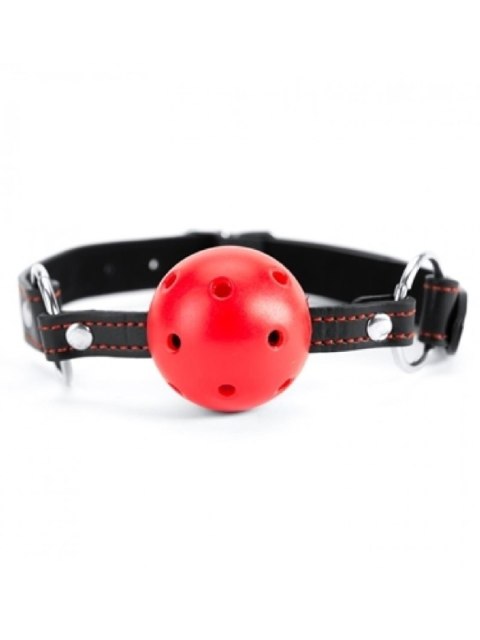 Red Heart Ball Gag Argus