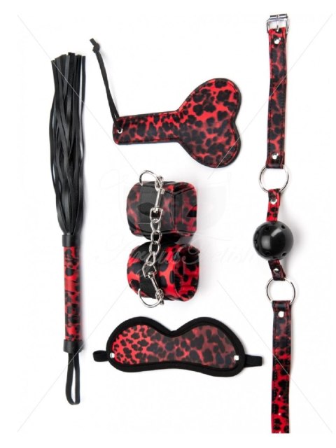 5 Pieces Leopard Bondage Set Argus