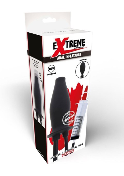 Hidden Desire Extreme Inflatable Lubricating Plug Hidden Desire