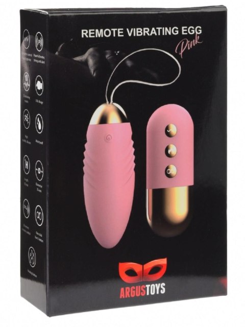 Remote Vibrating Egg Pink Burst Argus