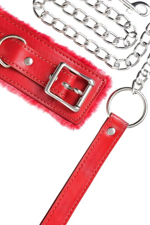 Anonymo collar, PU leather, red Toyfa